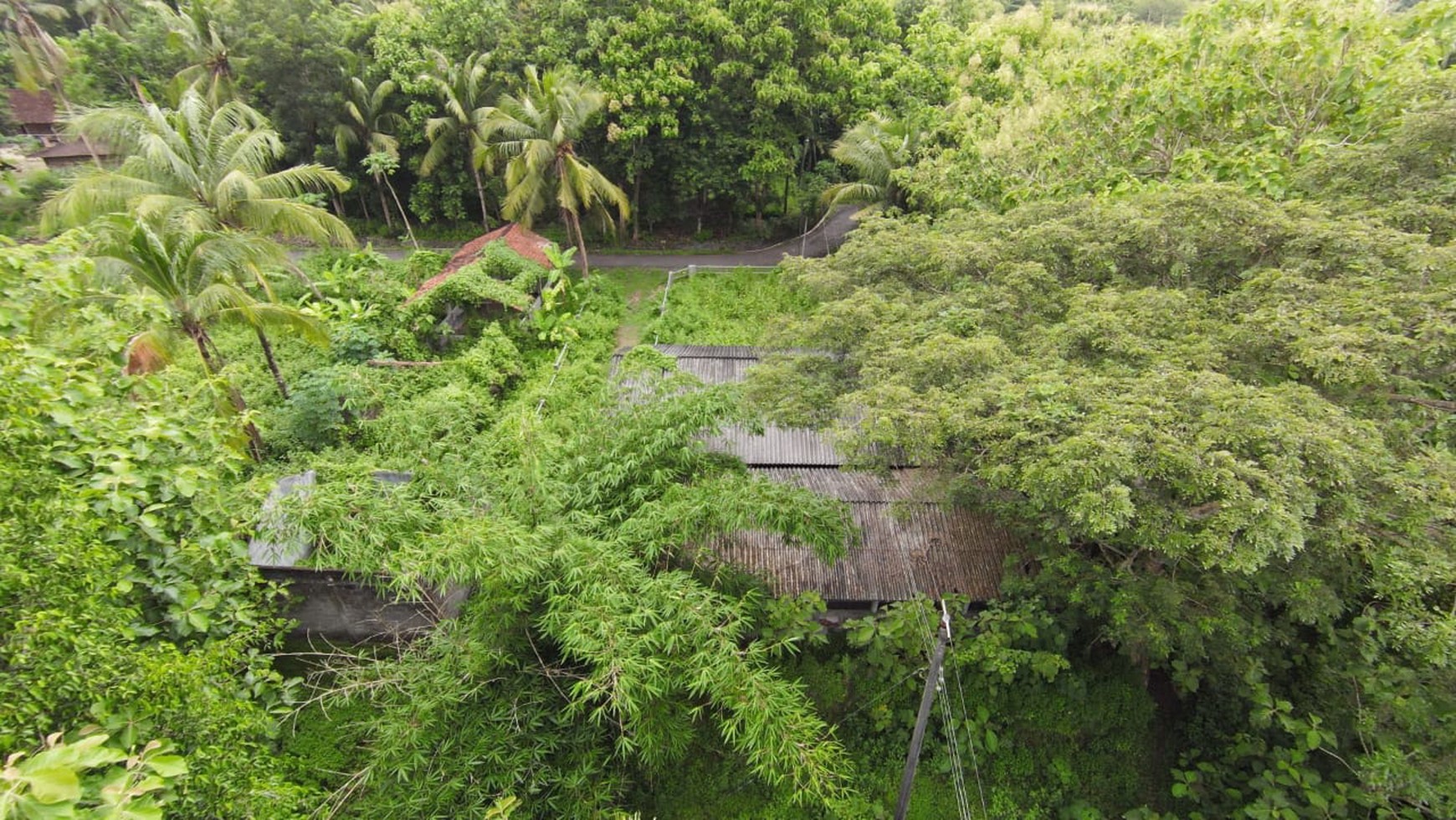 Tanah SHM Luas 1880 Meter Persegi Lokasi Sentolo Kulon Progo 