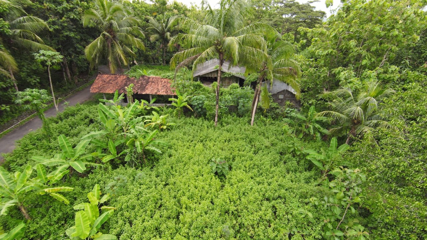 Tanah SHM Luas 1880 Meter Persegi Lokasi Sentolo Kulon Progo 