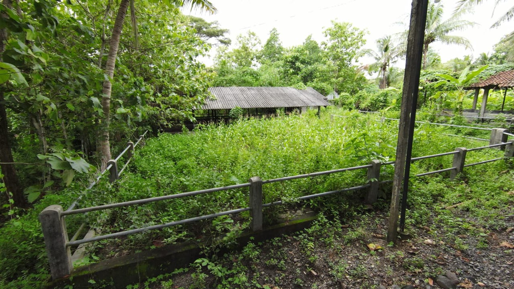 Tanah SHM Luas 1880 Meter Persegi Lokasi Sentolo Kulon Progo 