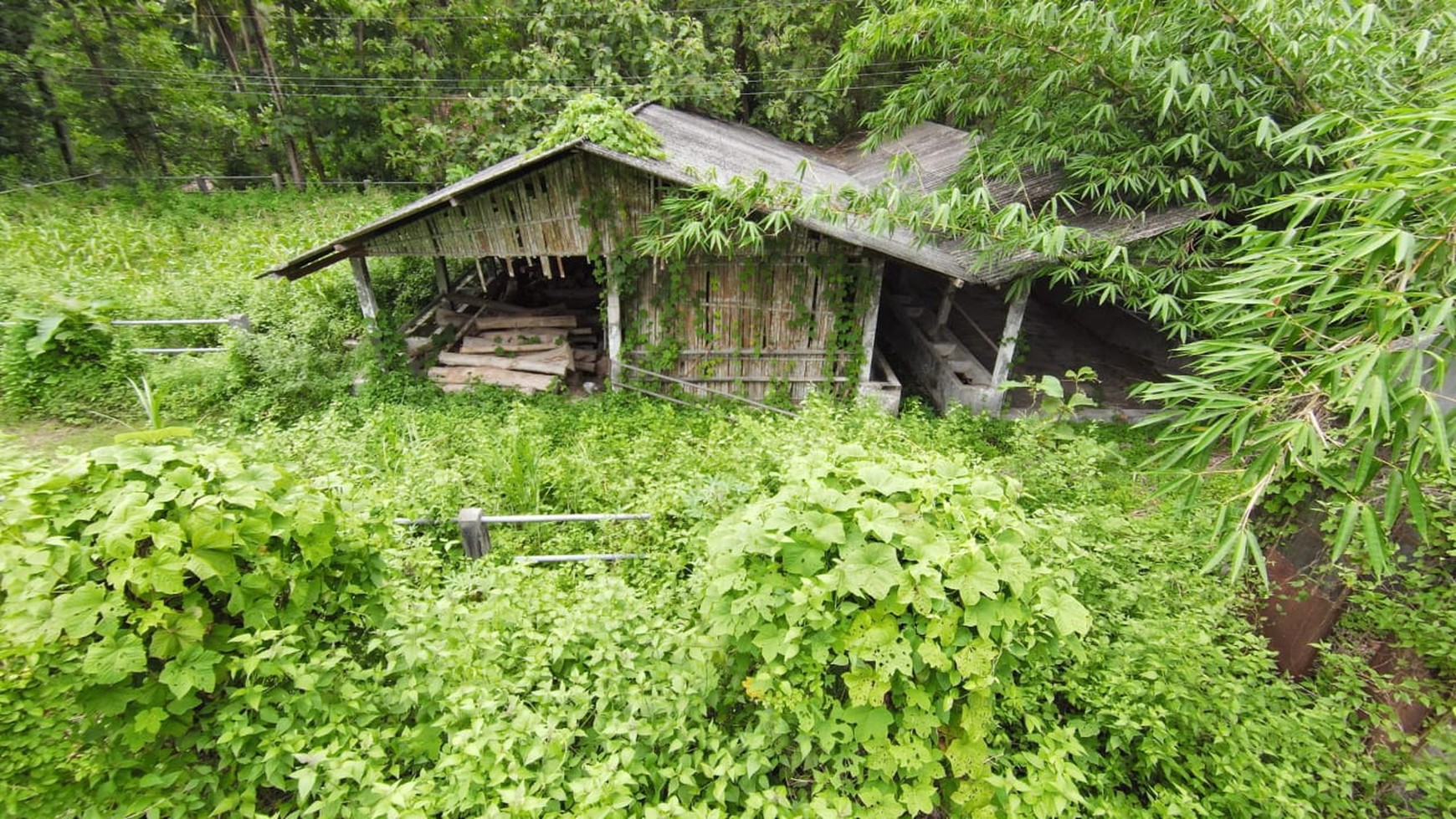 Tanah SHM Luas 1880 Meter Persegi Lokasi Sentolo Kulon Progo 