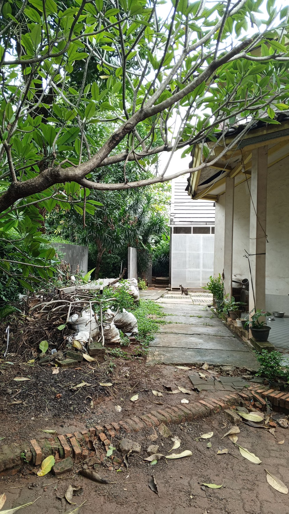 Rumah Bagus Luas Asri Di Pondok Labu Jakarta Selatan Strategis Dekat Exit Tol Andara Desari