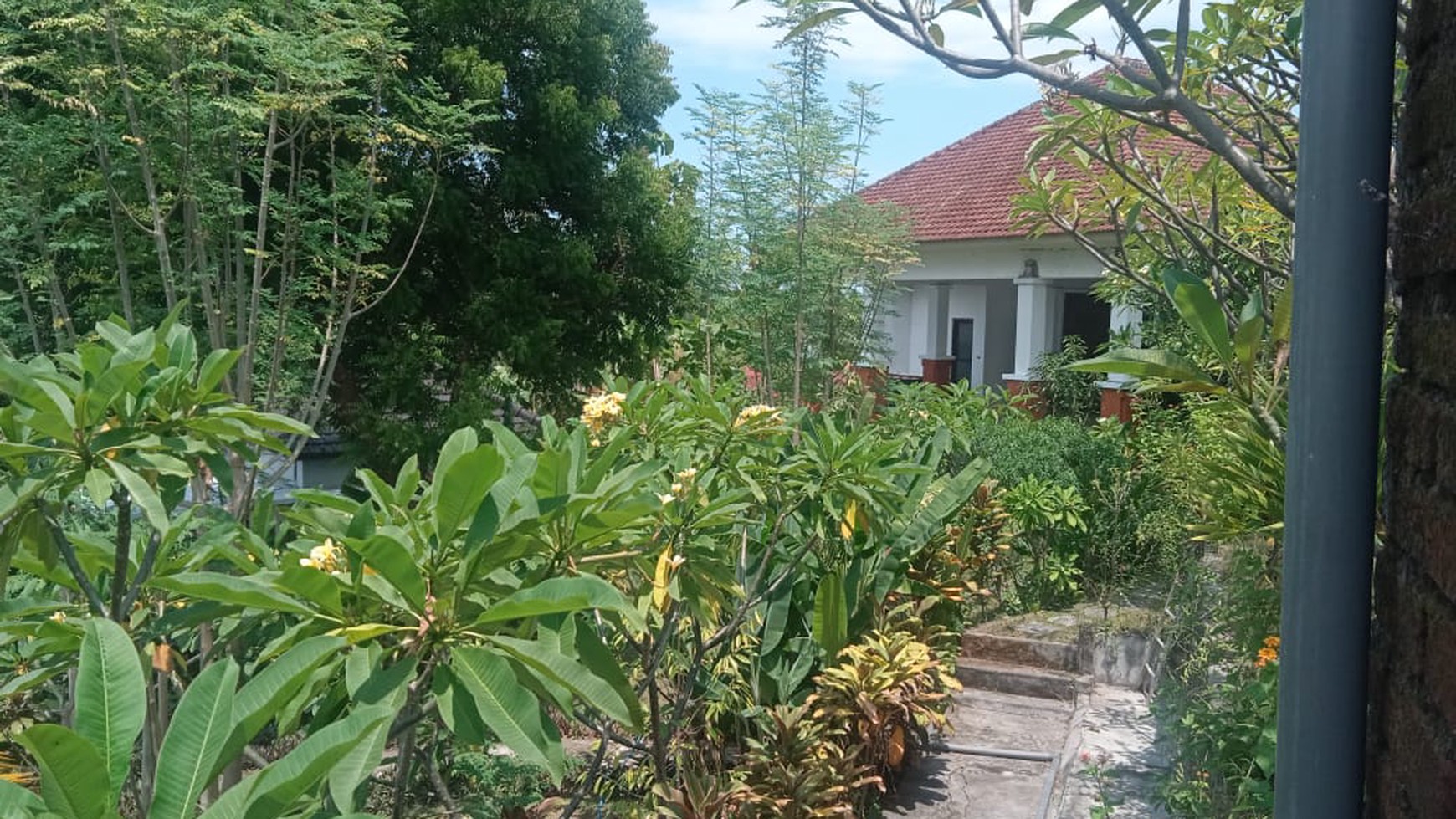 DIJUAL CEPAT, LOVINA ECOLODGE VILLA 12 UNITS FOR SALE - THE BEST PRICE FOR YOUR DREAM VILLAS IN BALI #DDLL