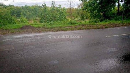 RS26. DiJual Tanah Industri Mojowarno,Jombang