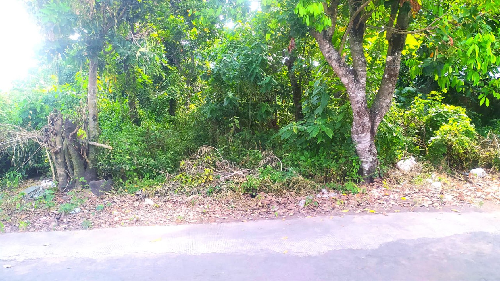 Tanah SHM Luas 770 Meter Persegi Lokasi Dekat Terminal Condong Catur 