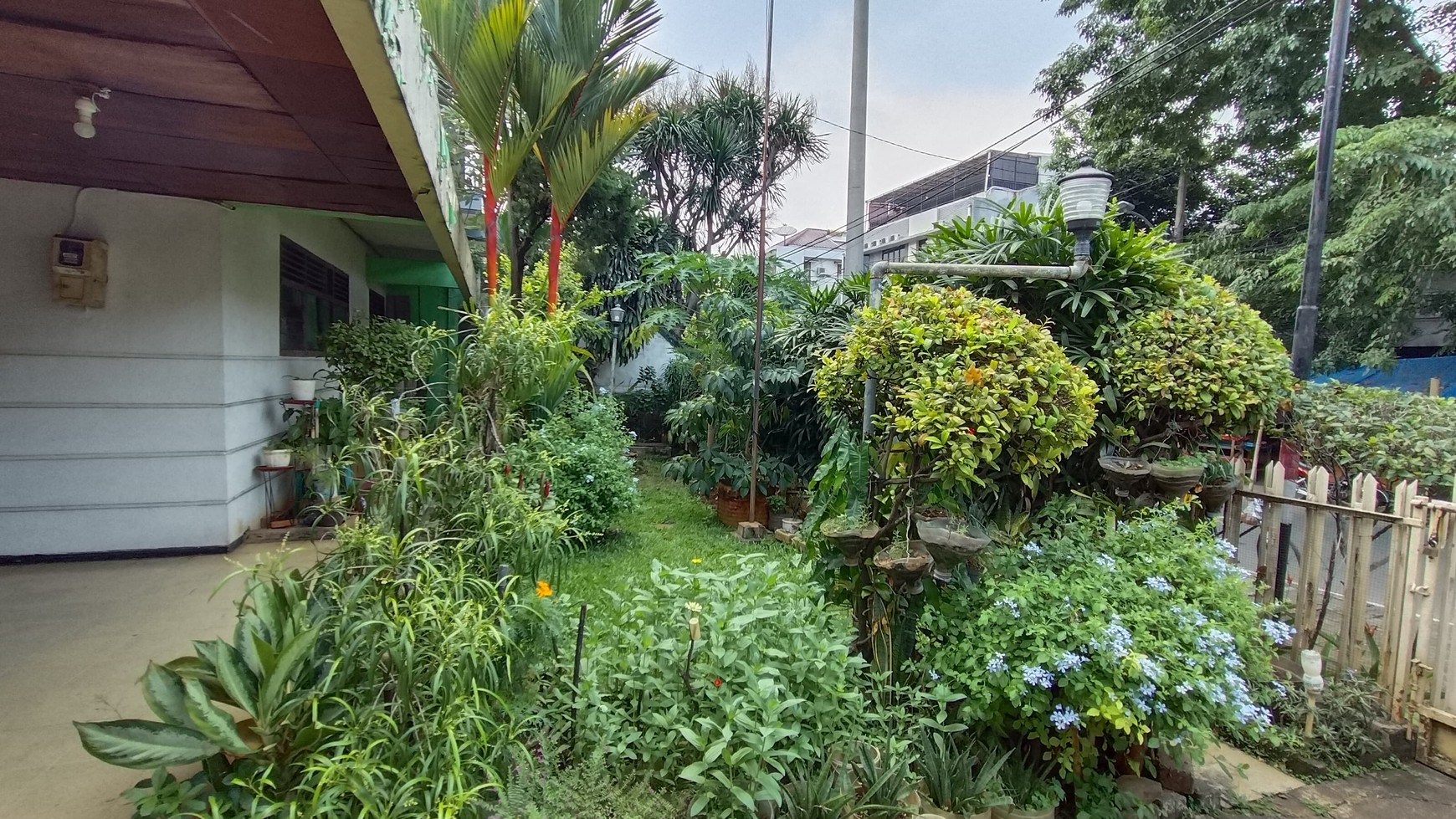 Rumah Antik di Jalan Gudang Peluru, Tebet, Jakarta Selatan