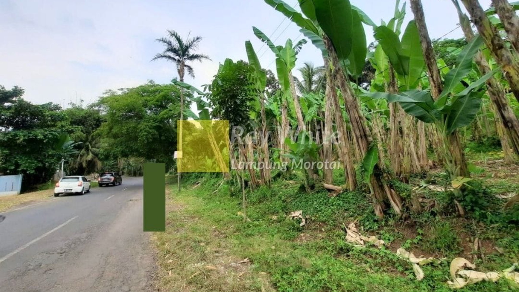 Miliki Tanah dengan Lebar Muka 50m vr