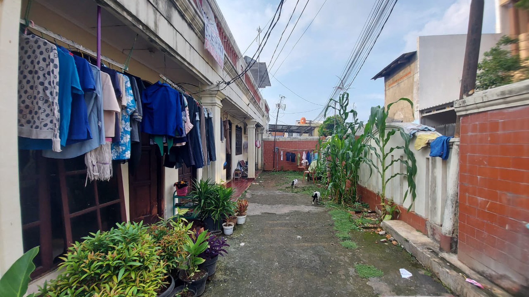 Lenteng Agung luas 472 rumah kost hitung tanah bisa dibeli setengah