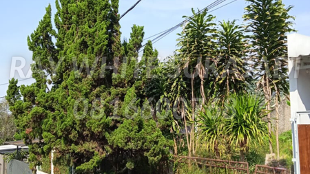 Dijual Tanah di Pondok Hijau 