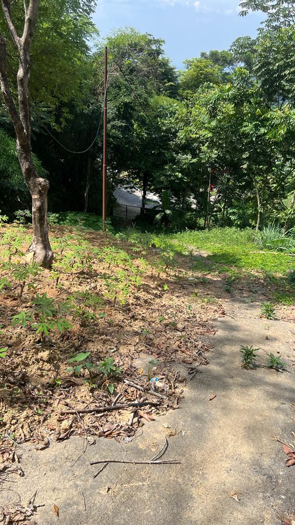 Rumah Hitung Tanah Area Cipete