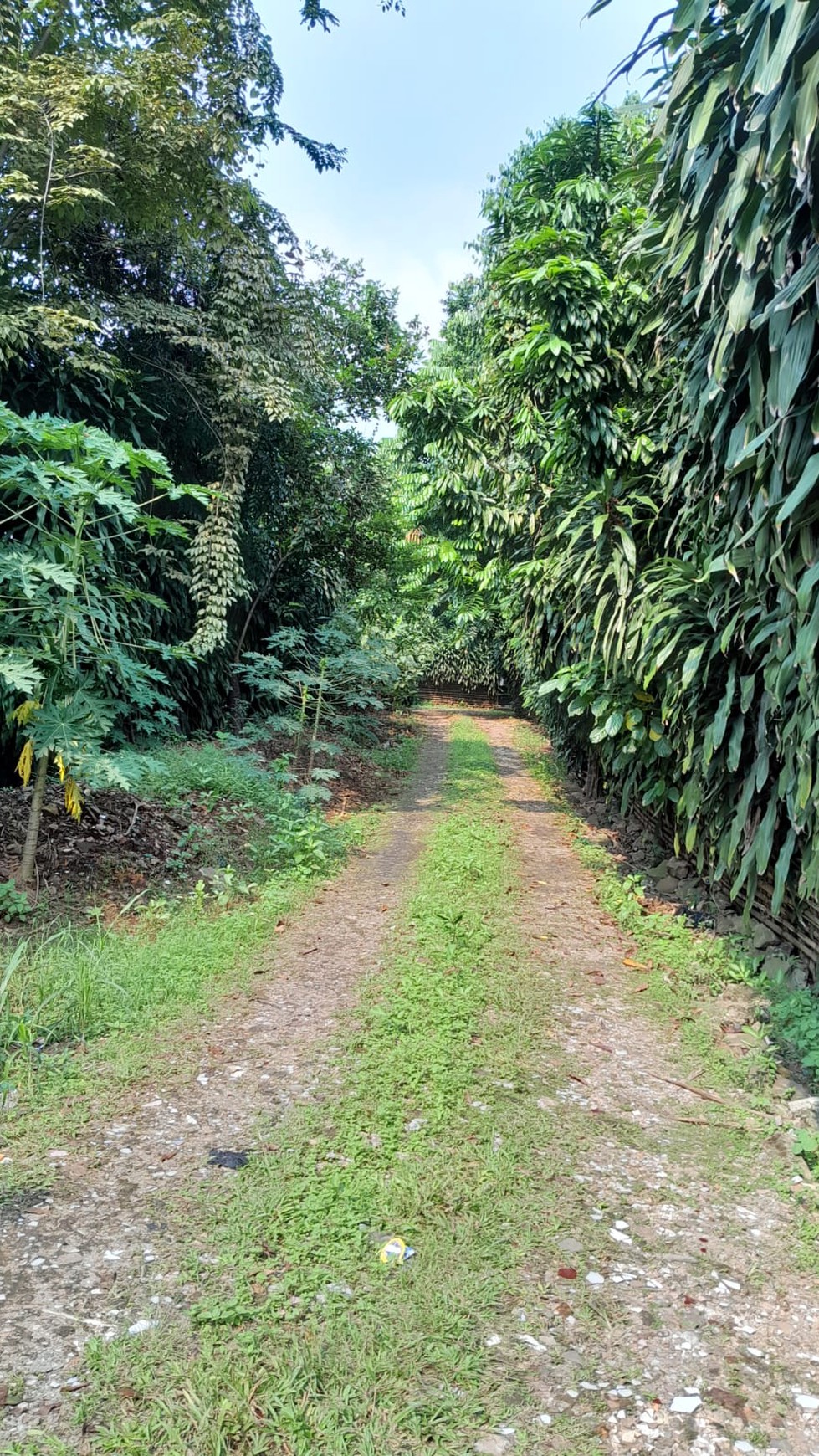 Rumah Hitung Tanah Area Cipete
