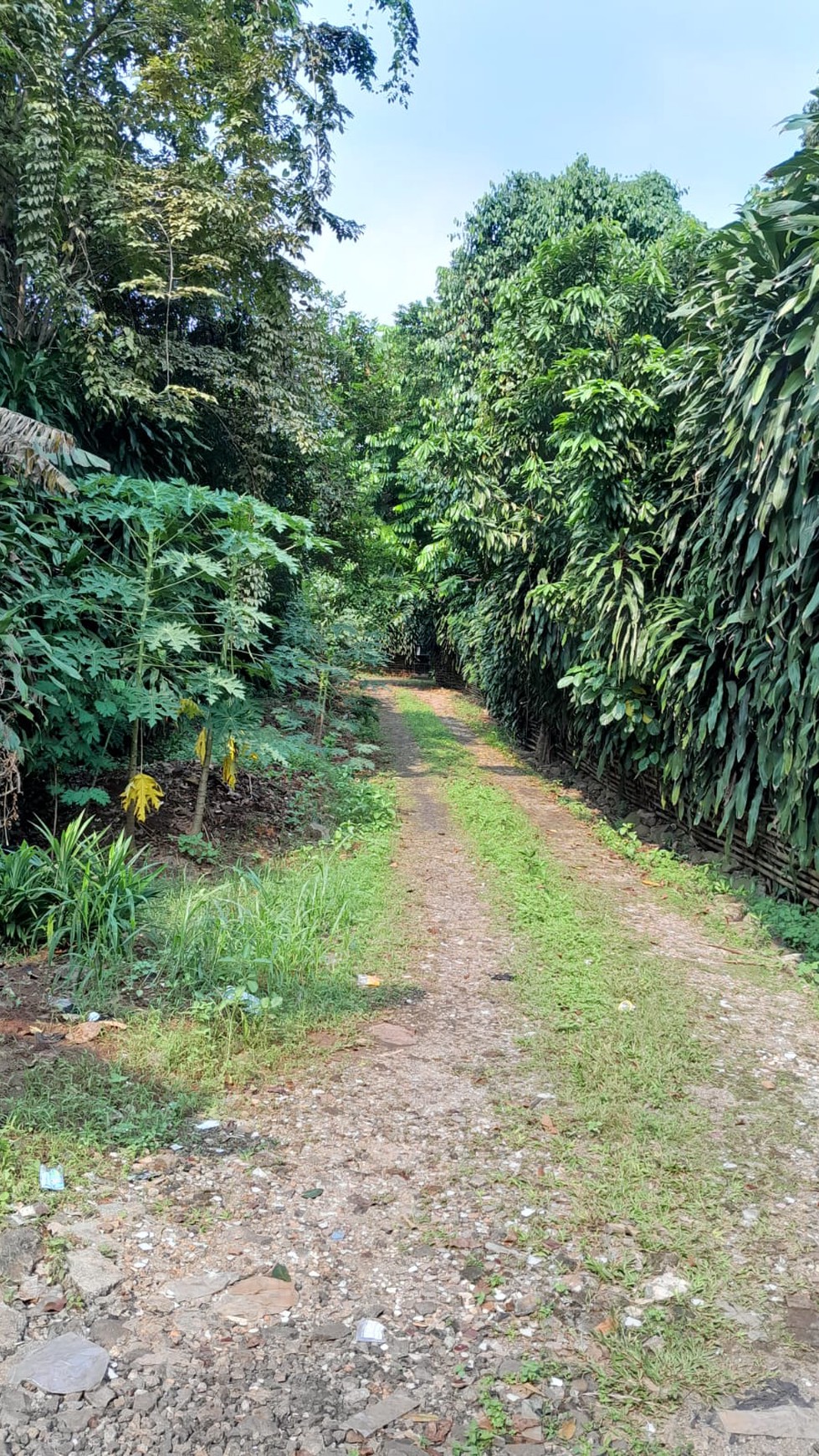 Rumah Hitung Tanah Area Cipete