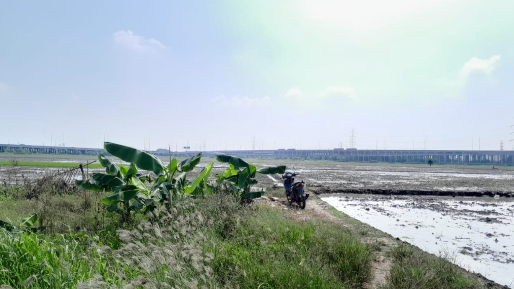 Kavling Premium 2 Ha di Tambun Utara, Bekasi - Dekat Tol Gabus