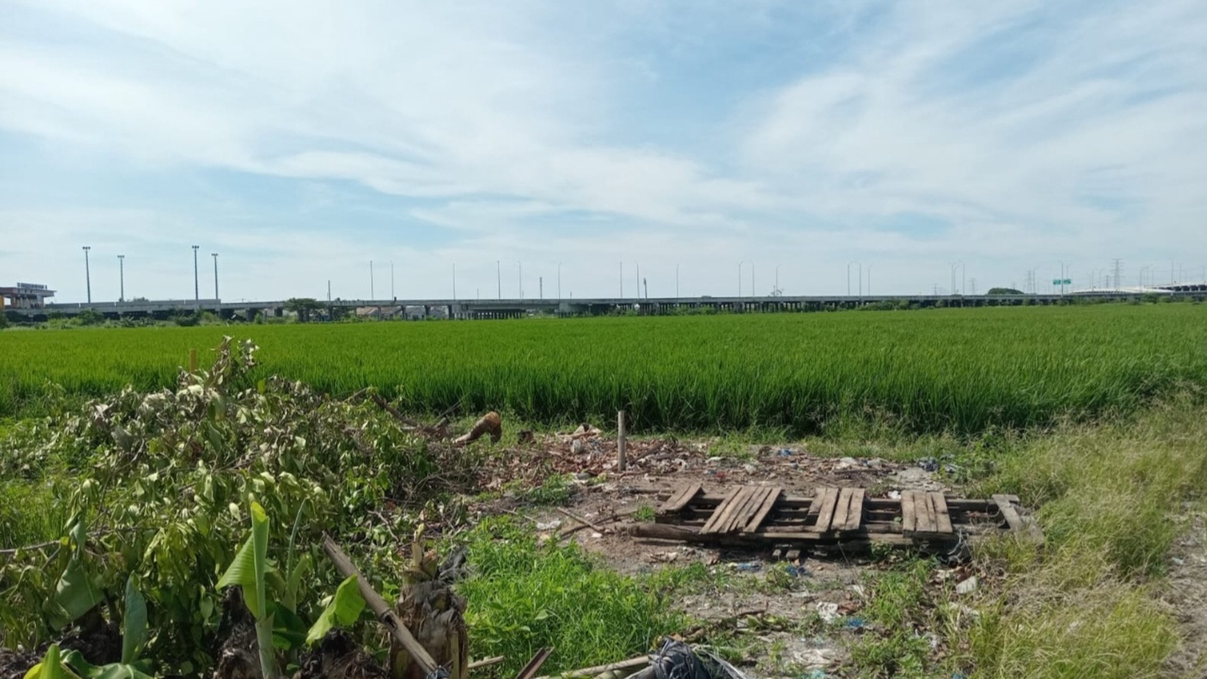 Kavling  2 Ha di Tambun Utara, Bekasi - Dekat Tol Gabus lokasinya premium