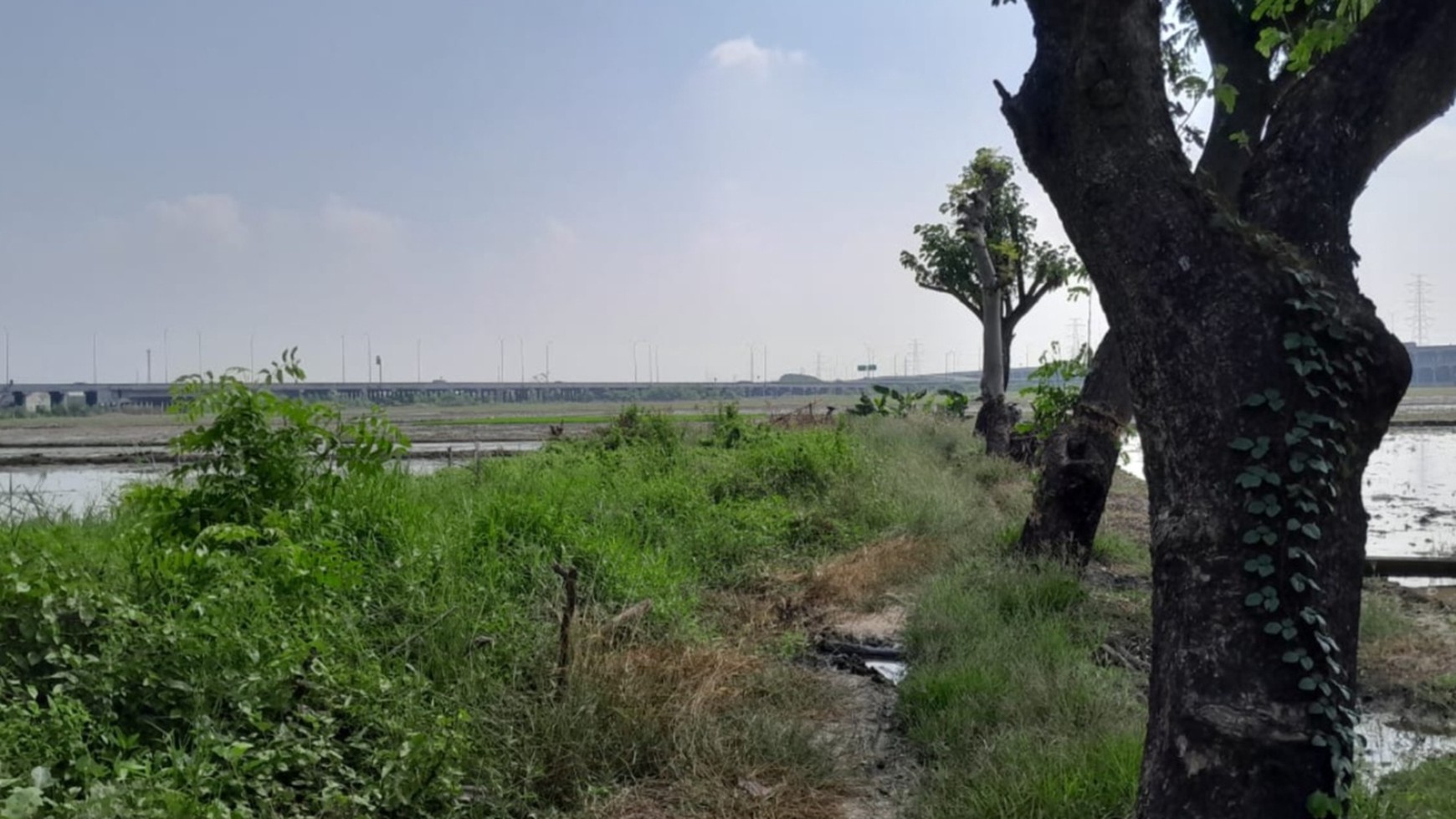 Kavling  2 Ha di Tambun Utara, Bekasi - Dekat Tol Gabus lokasinya premium