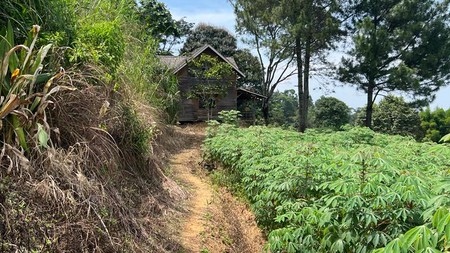 Tanah Luas di Gunung Geulis, Bogor