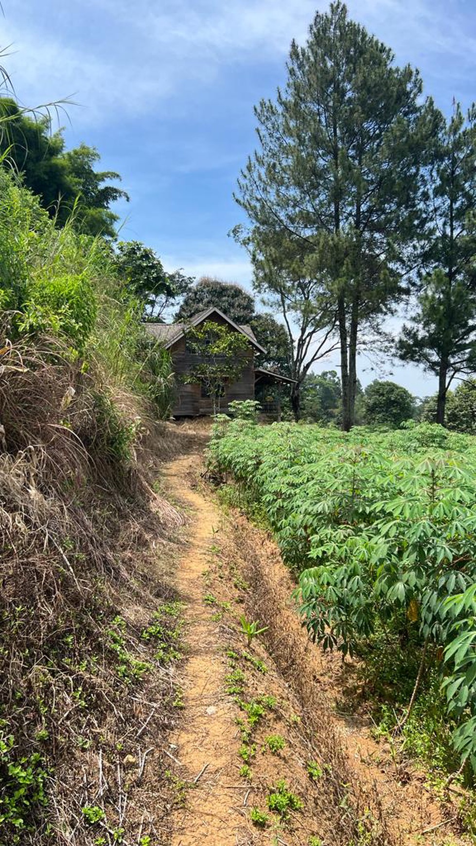 Tanah Luas di Gunung Geulis, Bogor