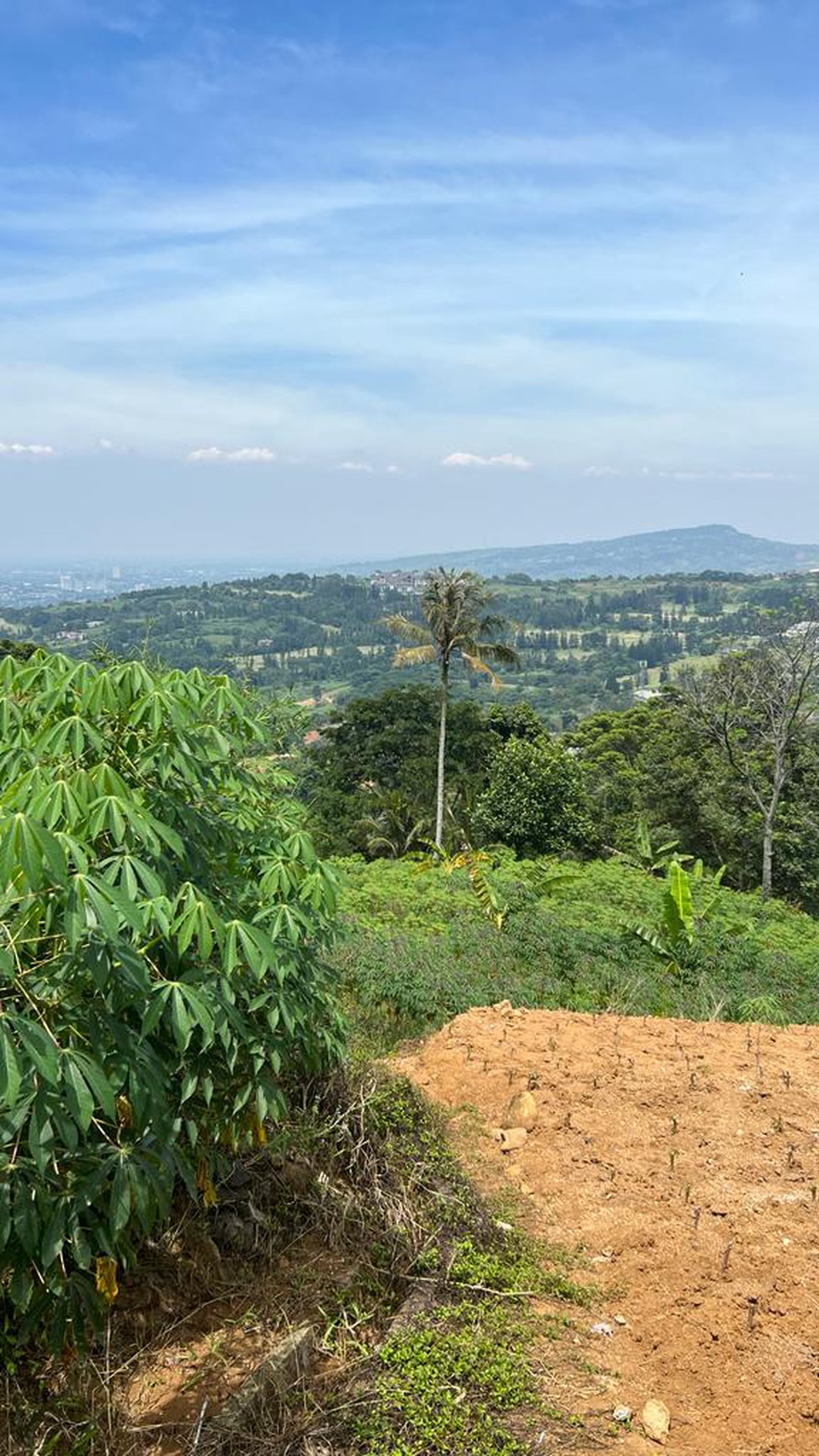 Tanah Luas di Gunung Geulis, Bogor