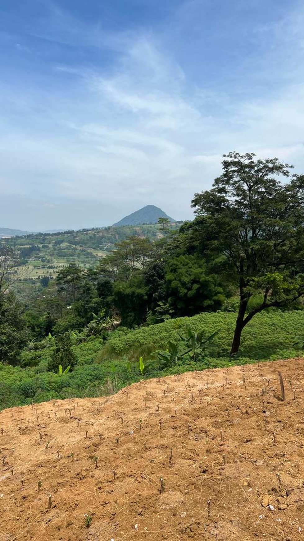 Tanah Luas di Gunung Geulis, Bogor