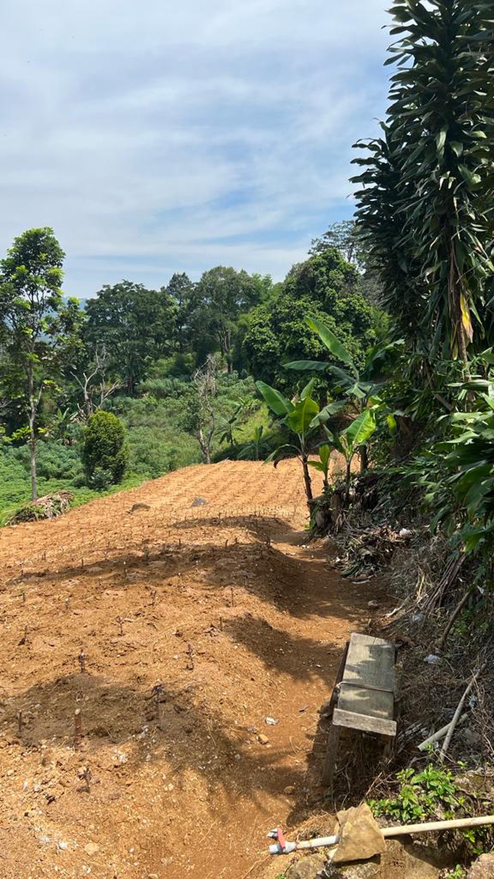 Tanah Luas di Gunung Geulis, Bogor