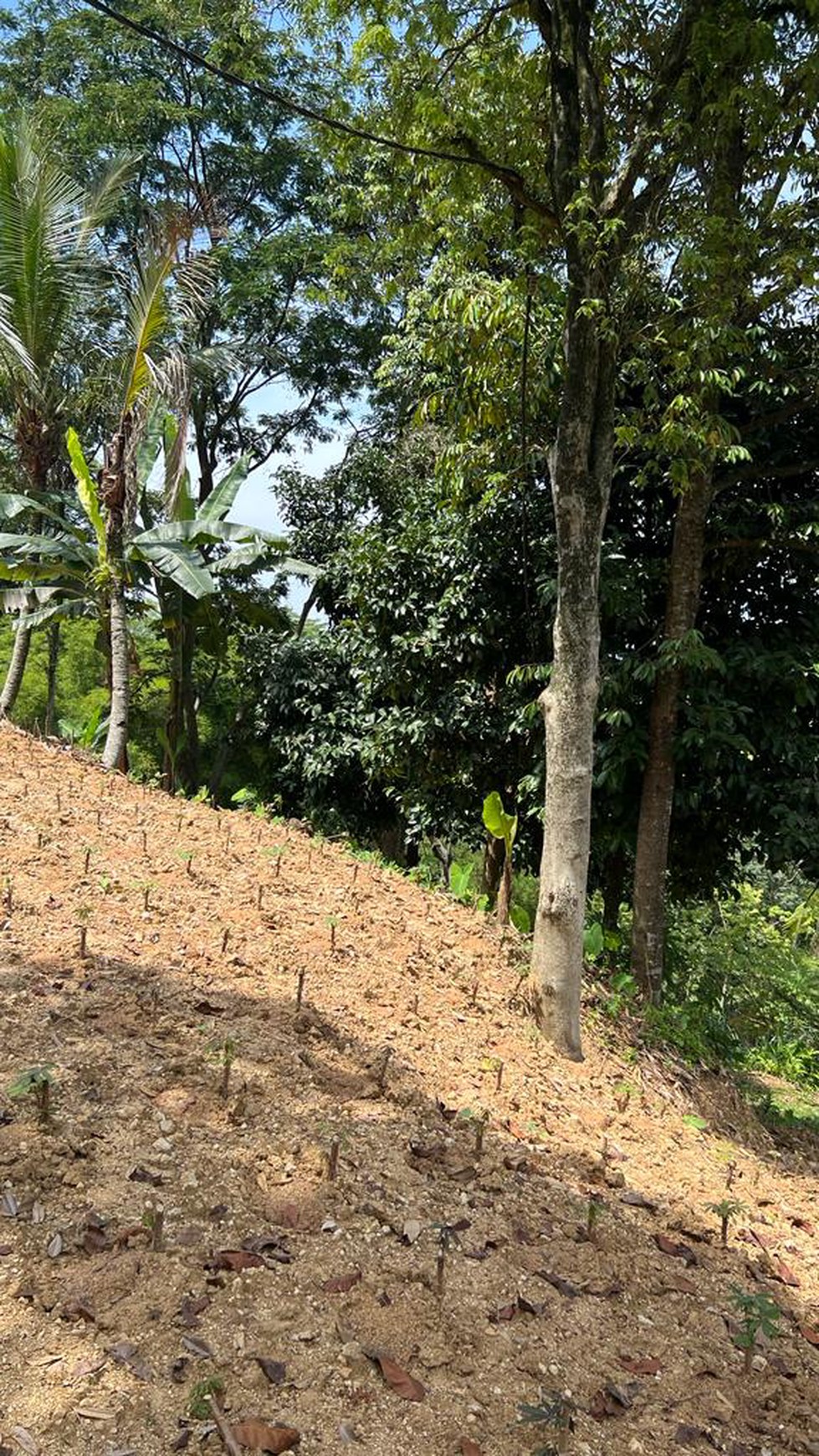 Tanah Luas di Gunung Geulis, Bogor