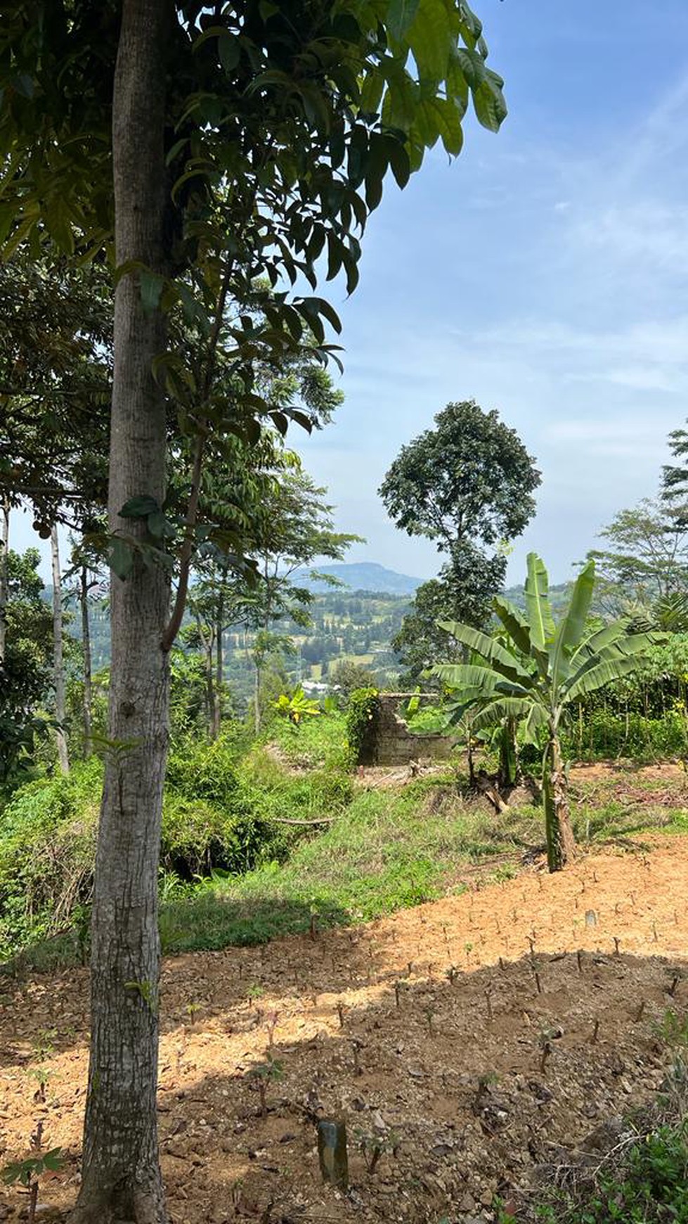 Tanah Luas di Gunung Geulis, Bogor