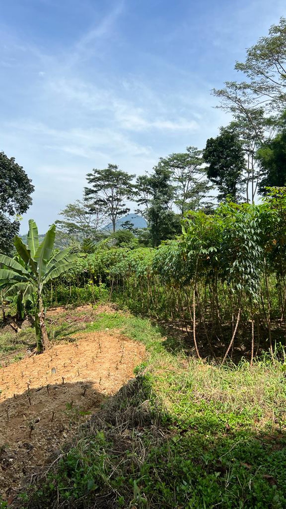 Tanah Luas di Gunung Geulis, Bogor