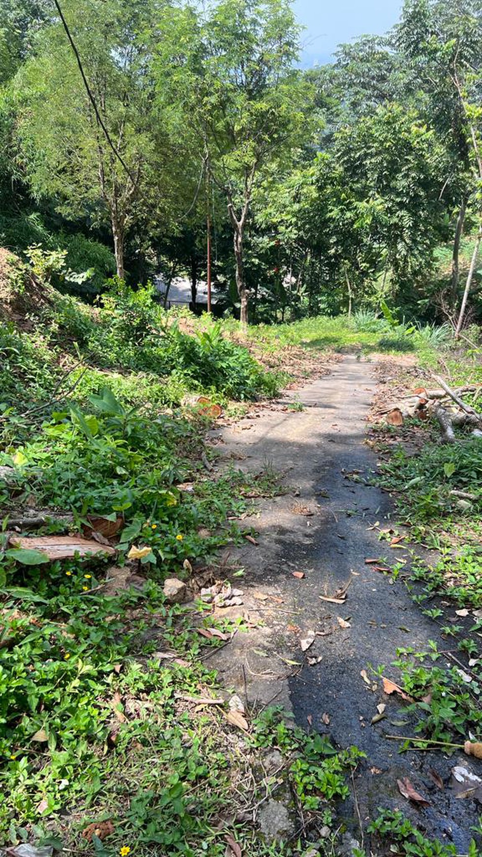 Tanah Luas di Gunung Geulis, Bogor