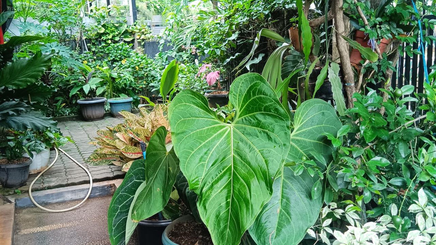 Rumah Hitung Tanah Area Cipete