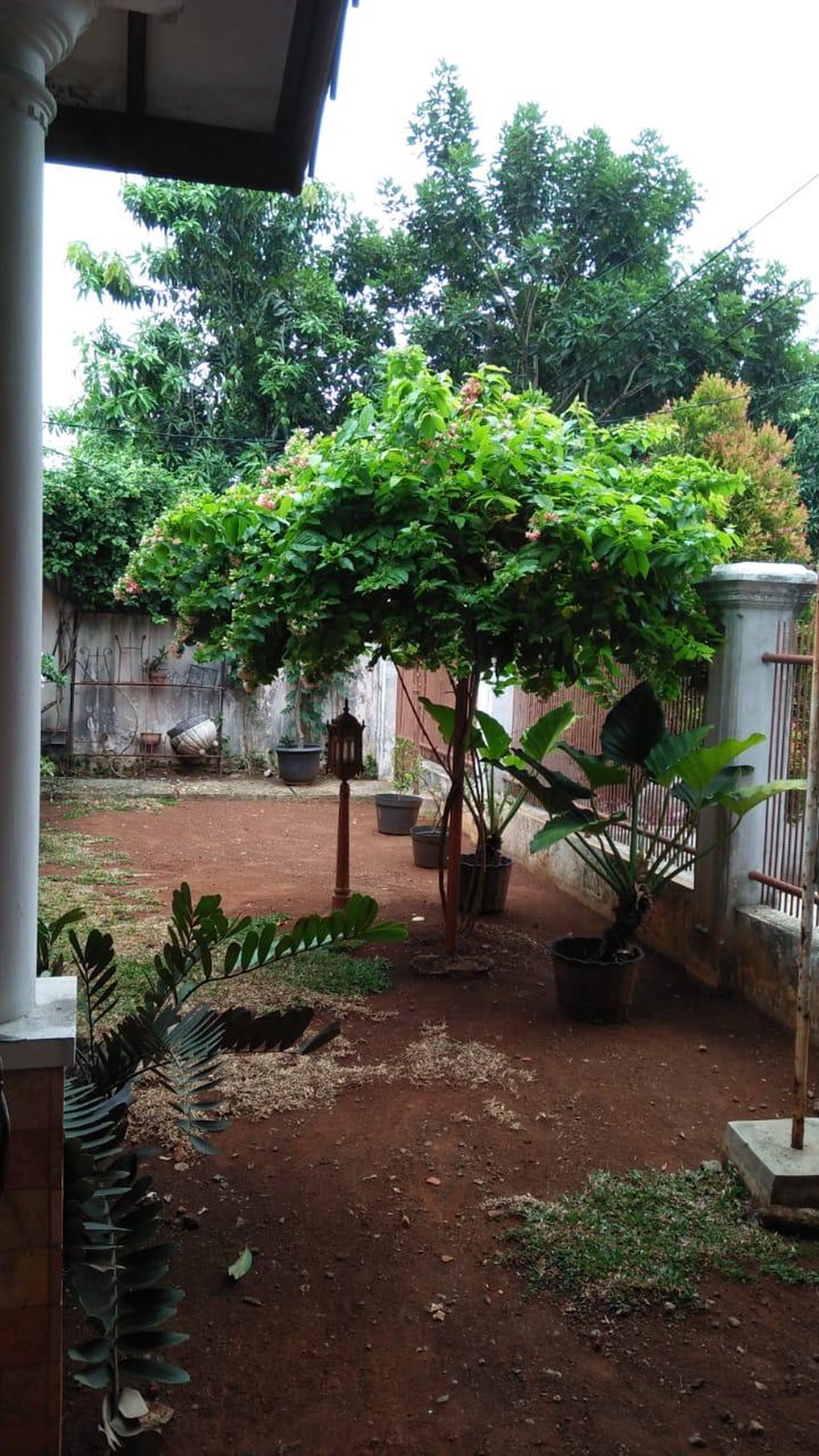 Rumah Bagus Di Komp Pertamina, Jl Kerosin Raya Pondok Ranji