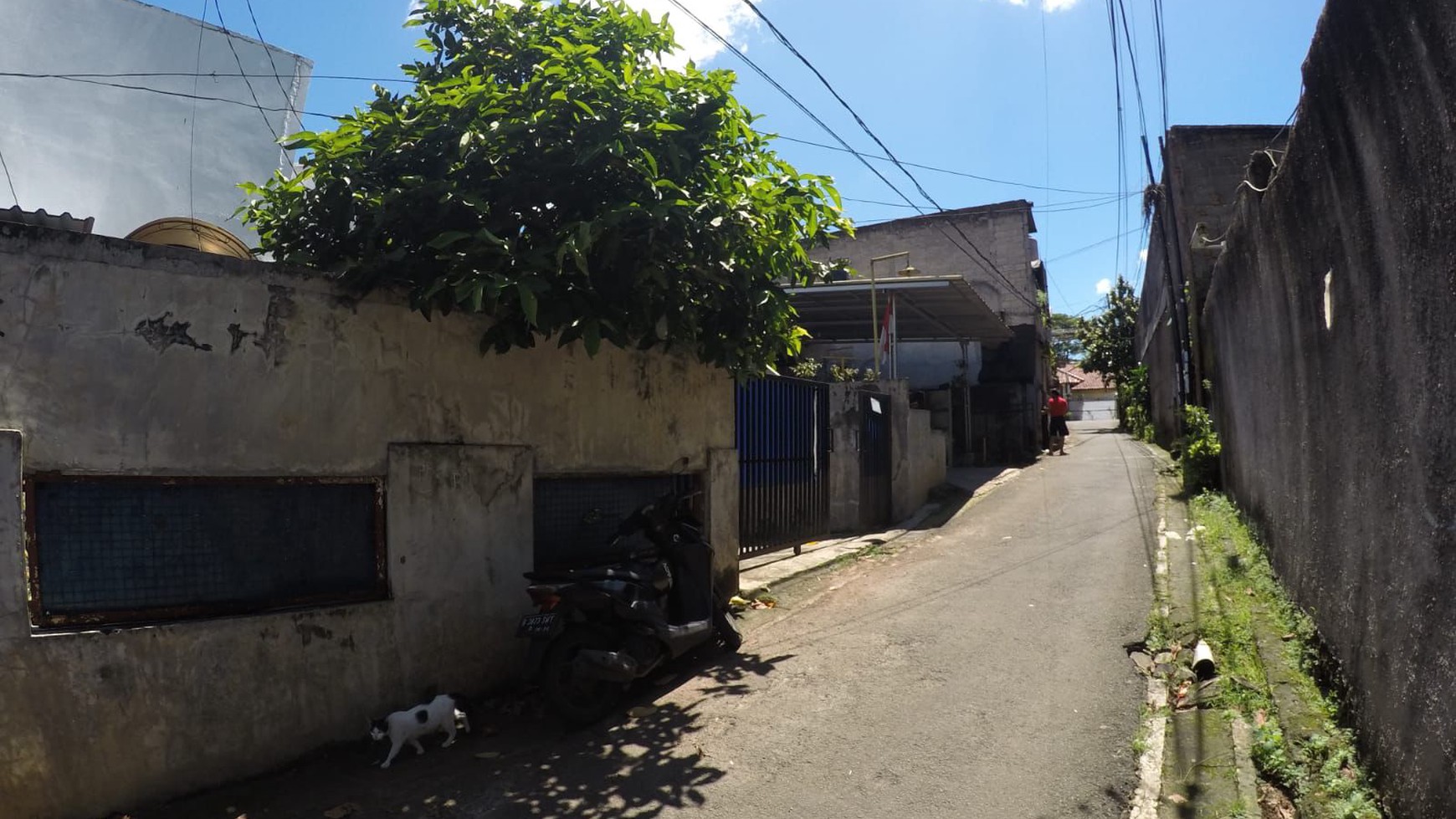 Rumah Bagus Di Jl Jambu Jagakarsa Jakarta Selatan