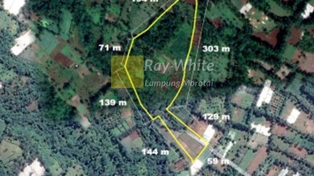 Dijual Tanah Kebun Desa Gisting tanggamus Bandar lampung