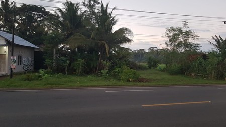 Tanah 1.630 Hanya 3 Km Dari Bandara YIA, Kulonprogo, Yogyakarta