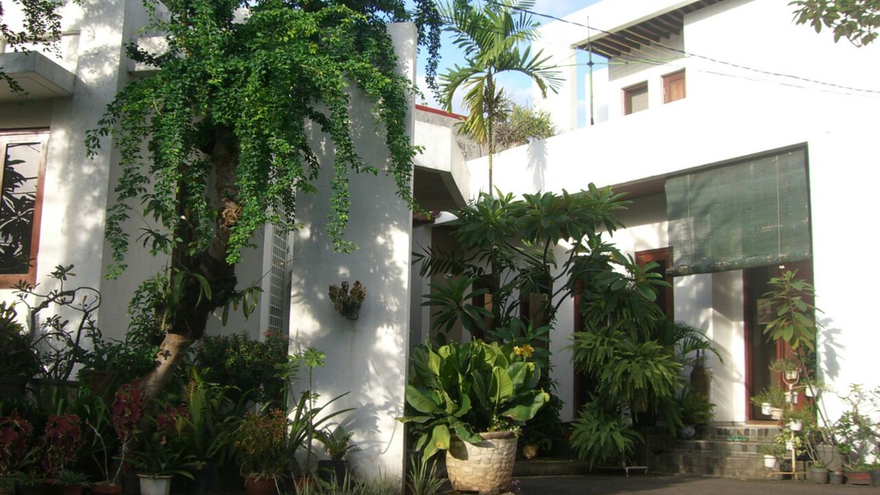 Rumah Bagus Siap Huni, dan Asri di Jl Pejaten Raya, Komp Dekdikbud, Jakarta Selatan 