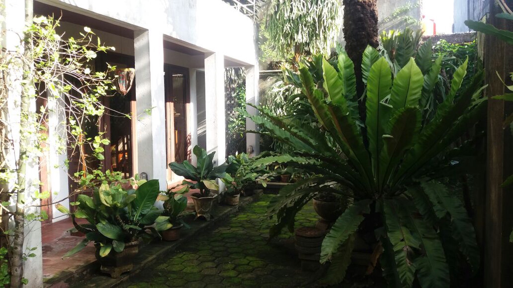 Rumah Bagus Siap Huni, dan Asri di Jl Pejaten Raya, Komp Dekdikbud, Jakarta Selatan 