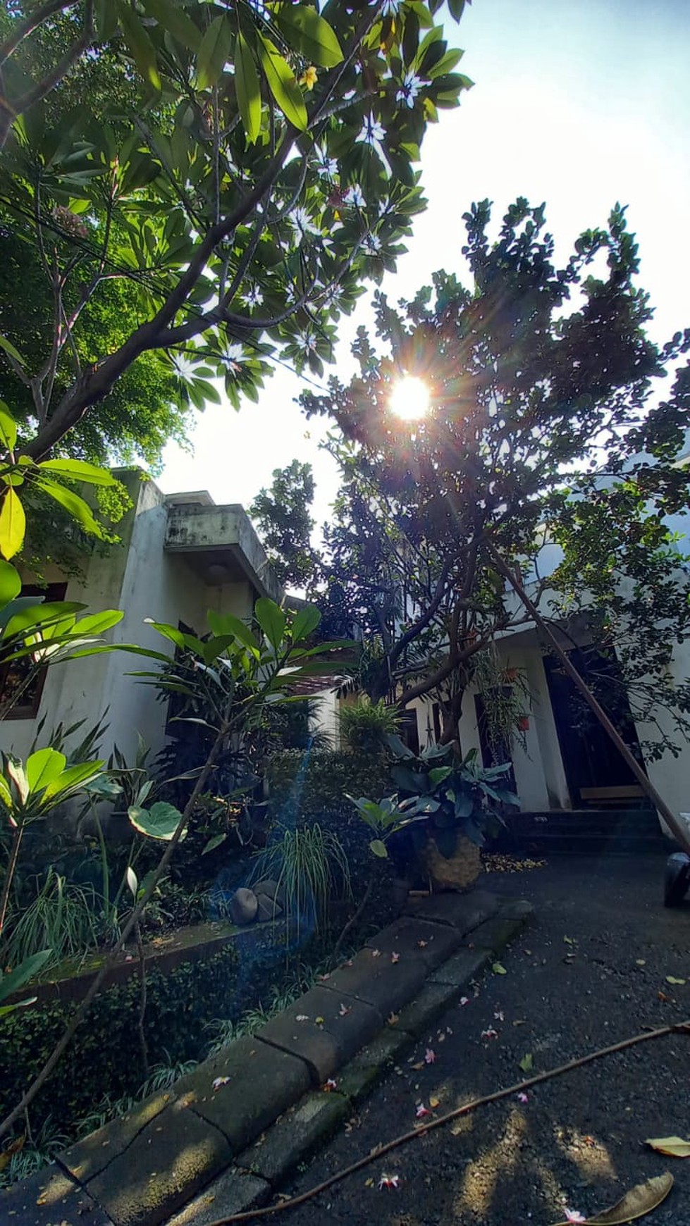 Rumah Bagus Siap Huni, dan Asri di Jl Pejaten Raya, Komp Dekdikbud, Jakarta Selatan 