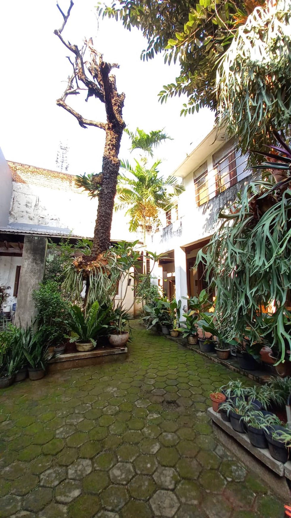 Rumah Bagus Siap Huni, dan Asri di Jl Pejaten Raya, Komp Dekdikbud, Jakarta Selatan 