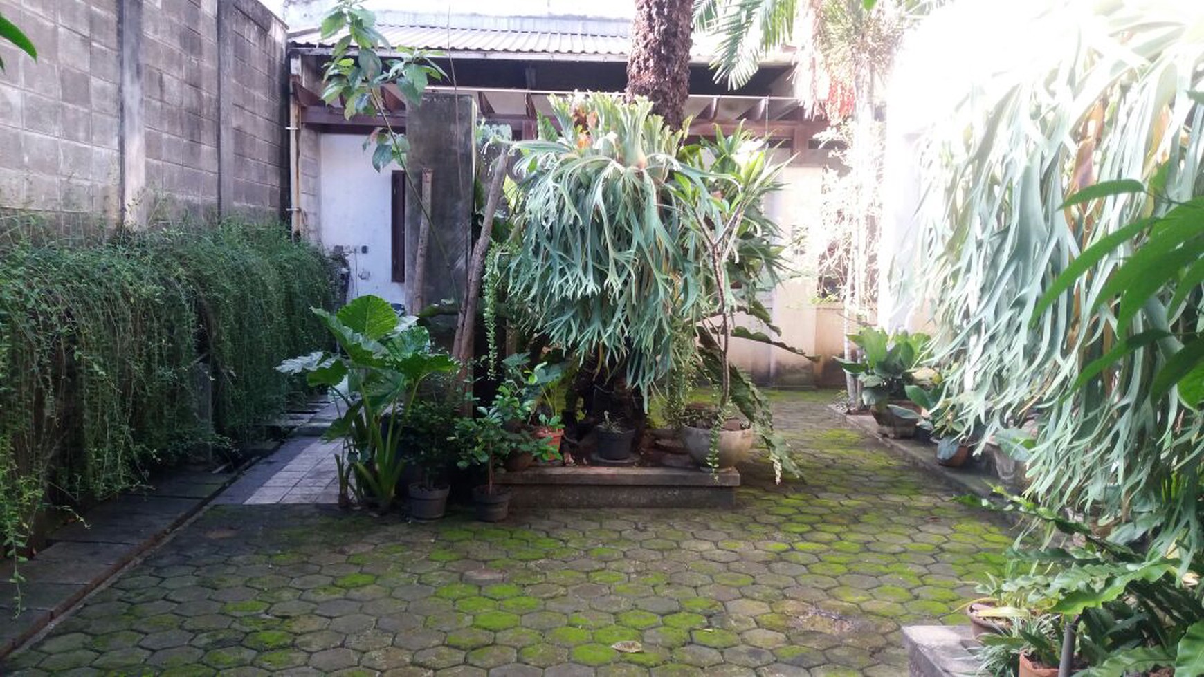 Rumah Bagus Siap Huni, dan Asri di Jl Pejaten Raya, Komp Dekdikbud, Jakarta Selatan 