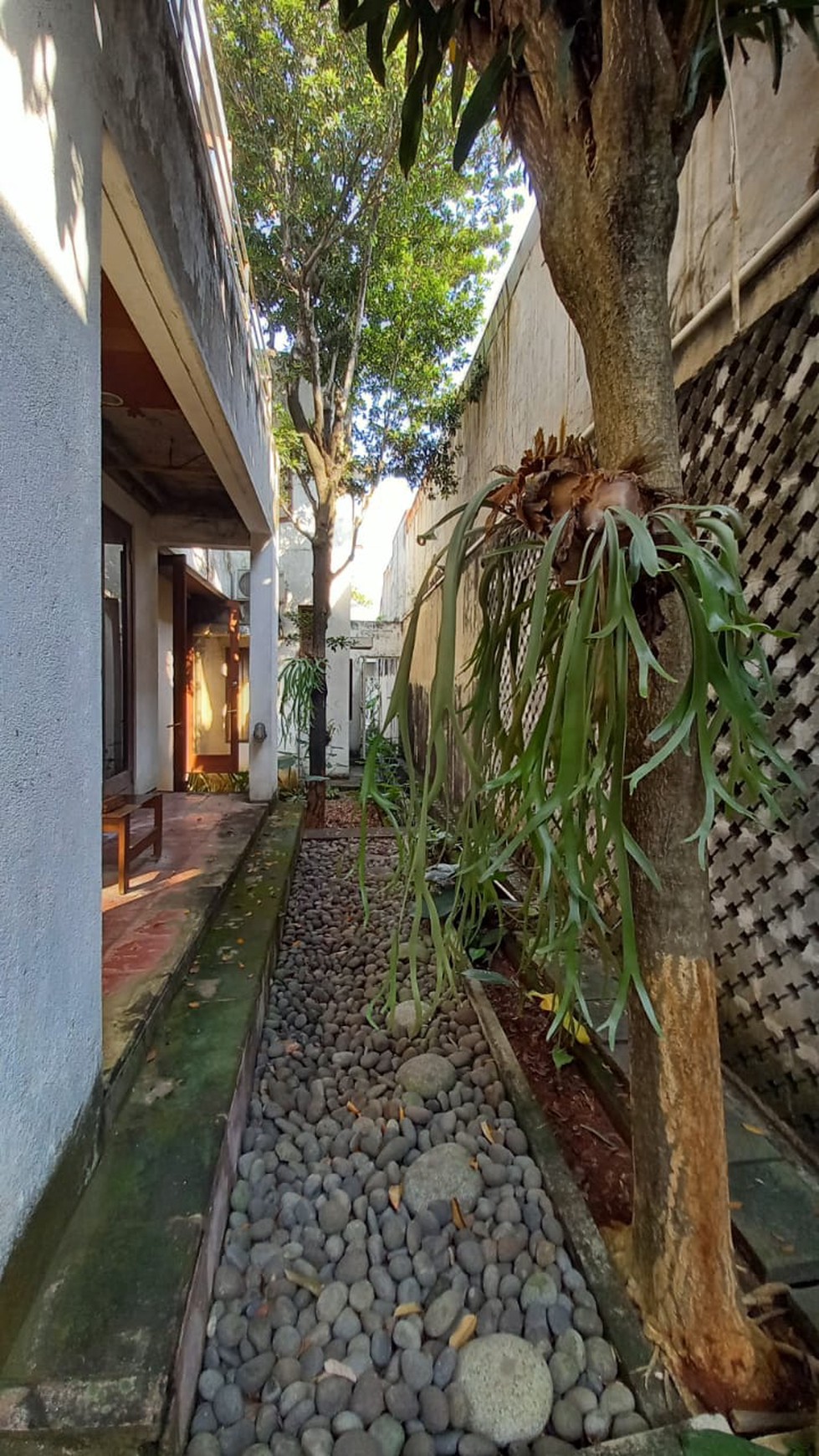 Rumah Bagus Siap Huni di Jl Pejaten Raya, Komp Dekdikbud, Jakarta Selatan 