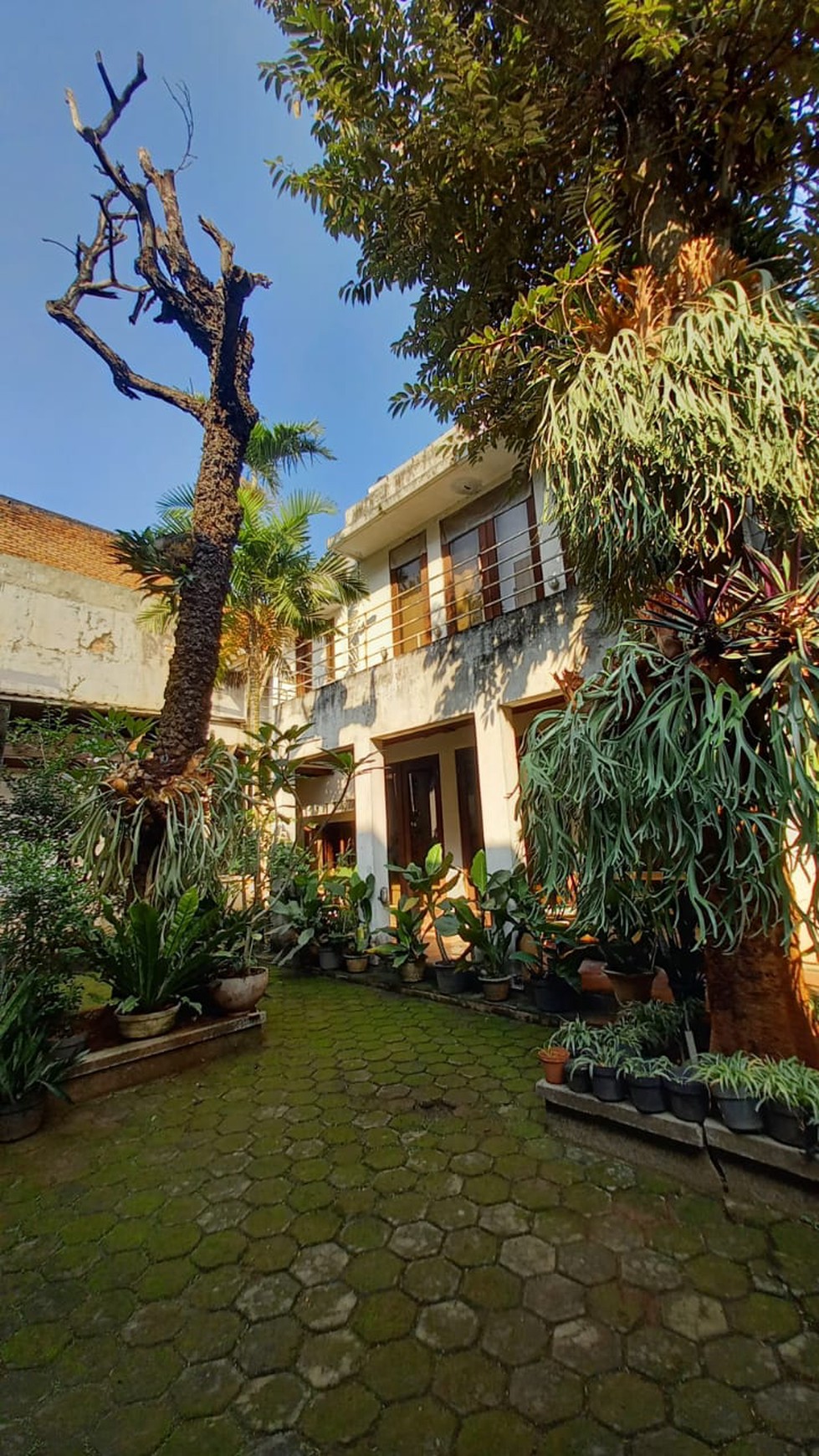 Rumah Bagus Siap Huni, dan Asri di Jl Pejaten Raya, Komp Dekdikbud, Jakarta Selatan 