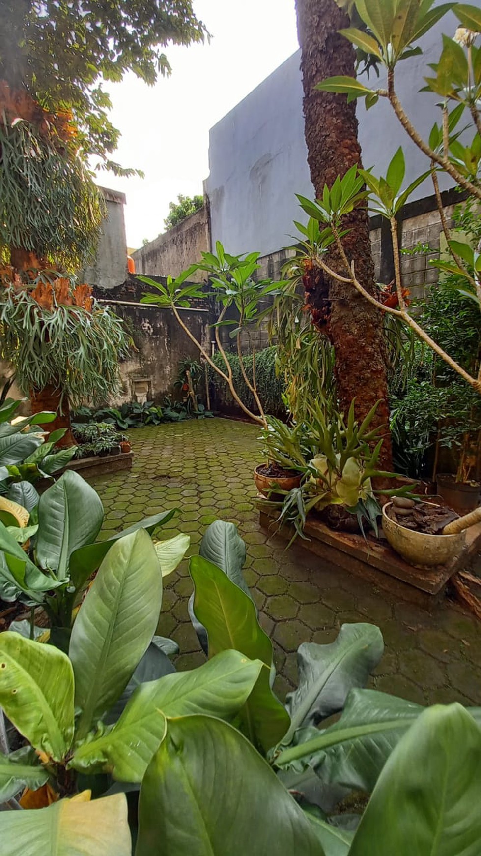 Rumah Bagus Siap Huni di Jl Pejaten Raya, Komp Dekdikbud, Jakarta Selatan 