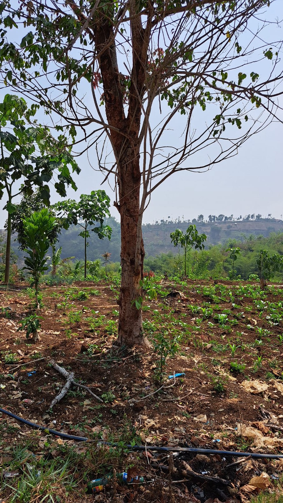 Kavling Siap Bangun Di Blok Mandala, Jl Kiara Payung Desa Sukajadi Soreang Bandung