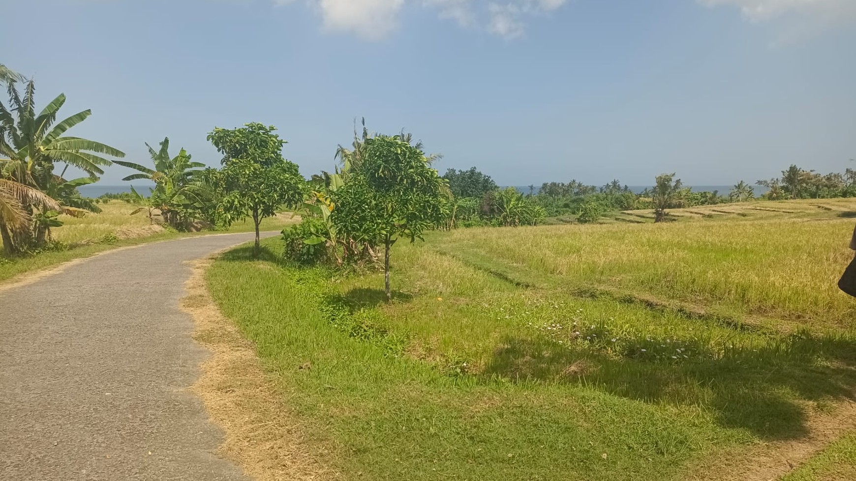 For Sale Plots Land Invesment at Belong Beach Kedungu