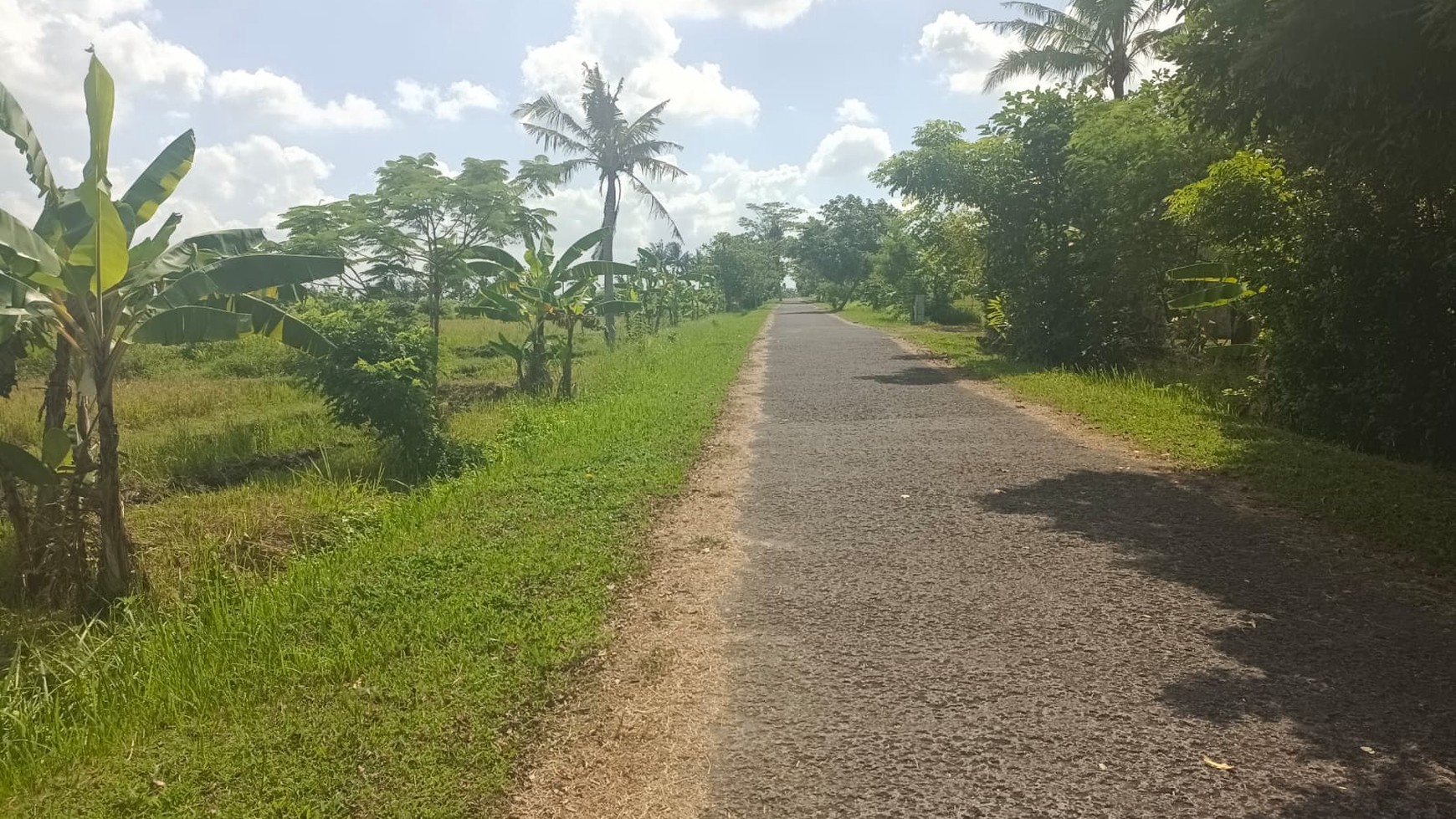 For Sale Plots Land Invesment at Belong Beach Kedungu