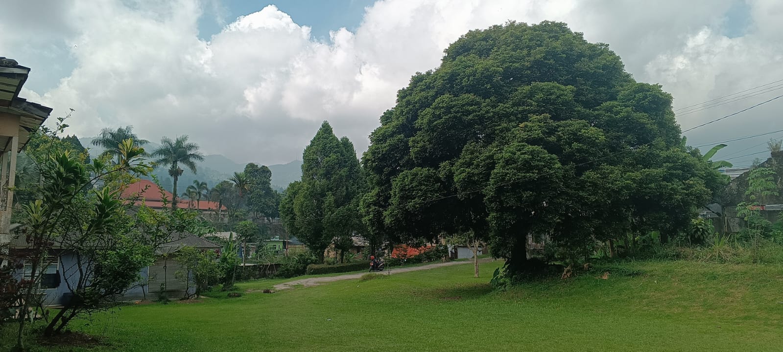 DISEWA TANAH JALAN PUNCAK RAYA CISARUA JAWA BARAT