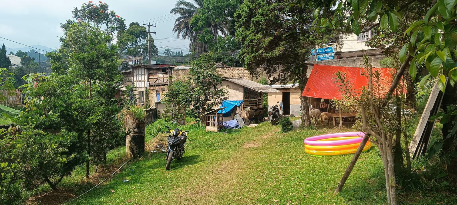 DISEWA TANAH JALAN PUNCAK RAYA CISARUA JAWA BARAT