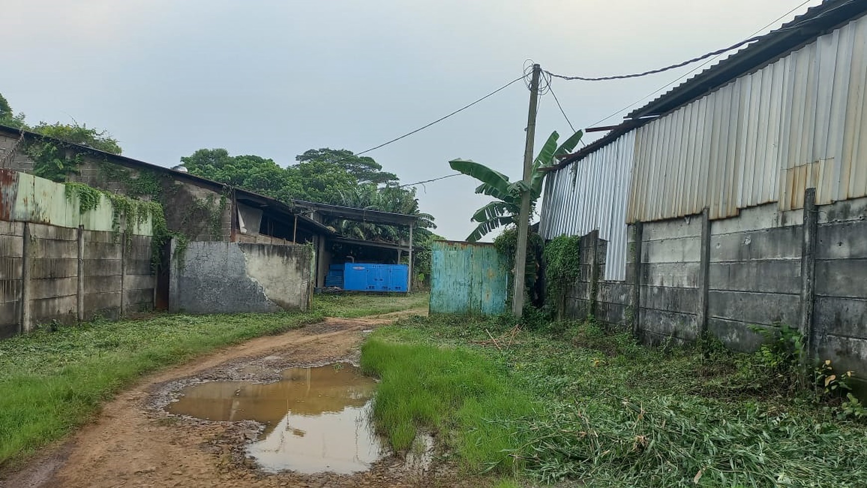 Gudang di Curug dekat exit tol Bitung dijual dengan Harga Menarik