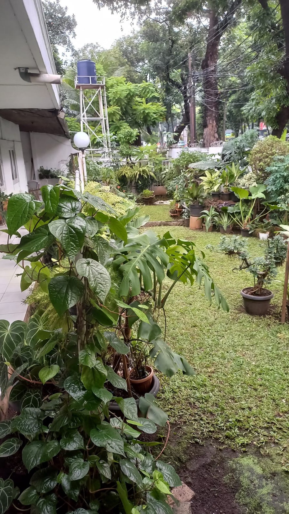 Rumah dijual di Kebayoraan Baru commersial