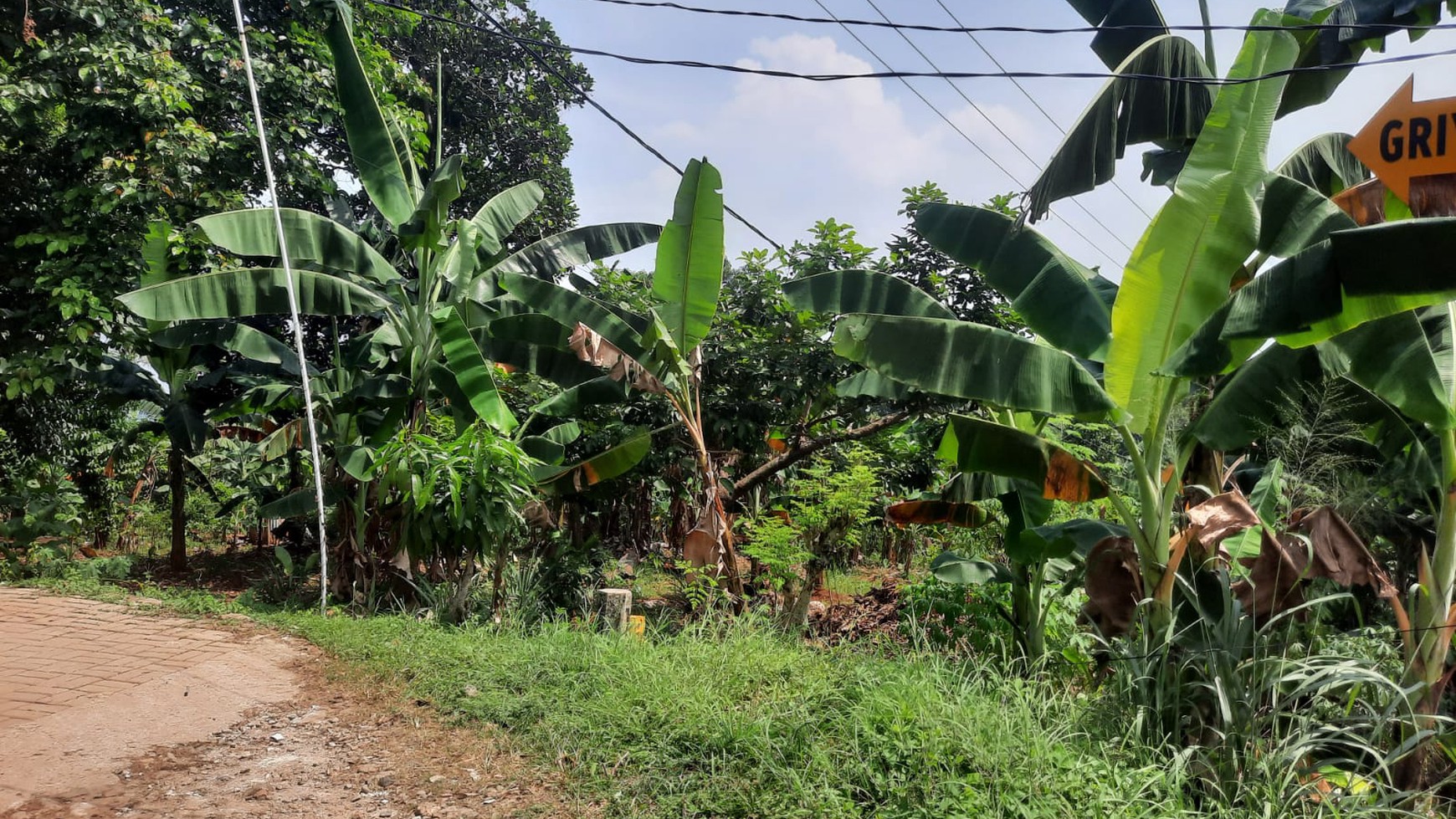 Di Jual Tanah di Jl Pipa Gas Pertamina Pondok Cina - Depok Jawa Barat