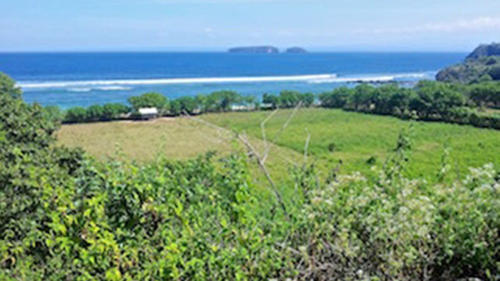 70 Are Beach Front Land Freehold in West Sumbawa