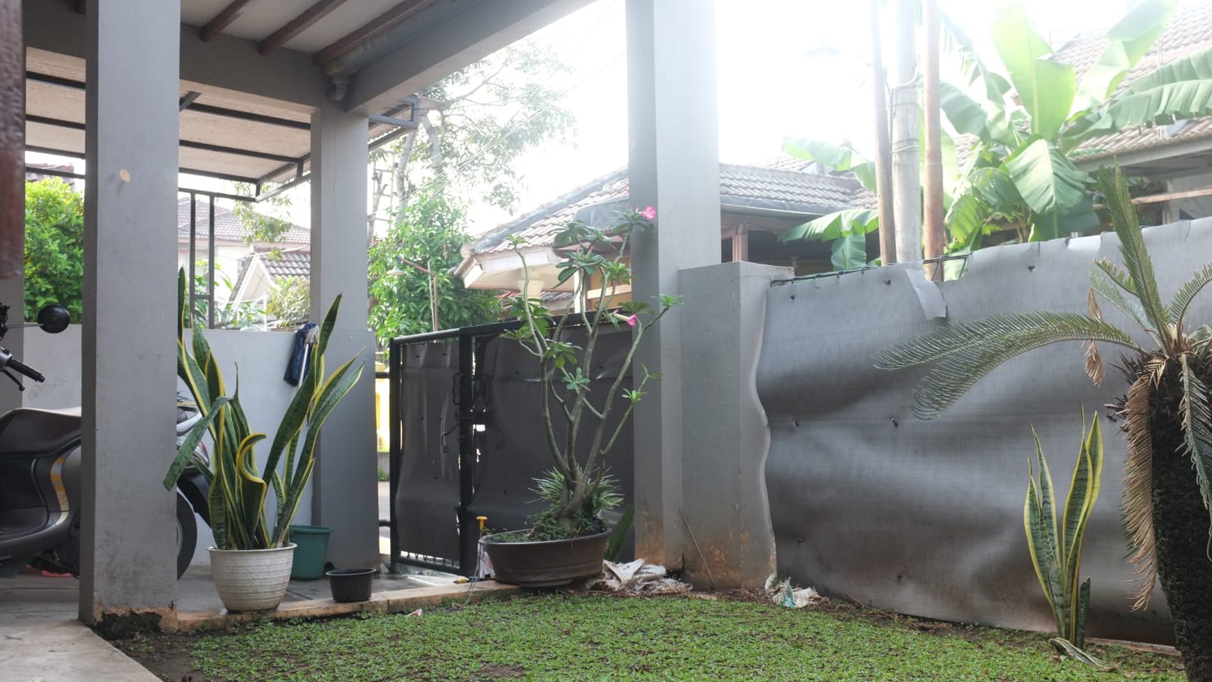 Termurah. Rumah bagus cluster Catalina, Gading Serpong